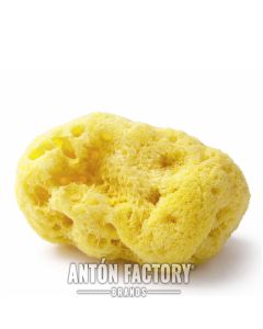 Esponja Calzado Marina Natural