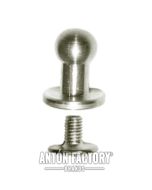 Tornillo Gemelo Y Cinturón